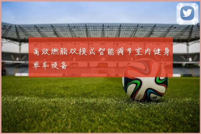 高效燃脂双模式智能调节室内健身单车设备