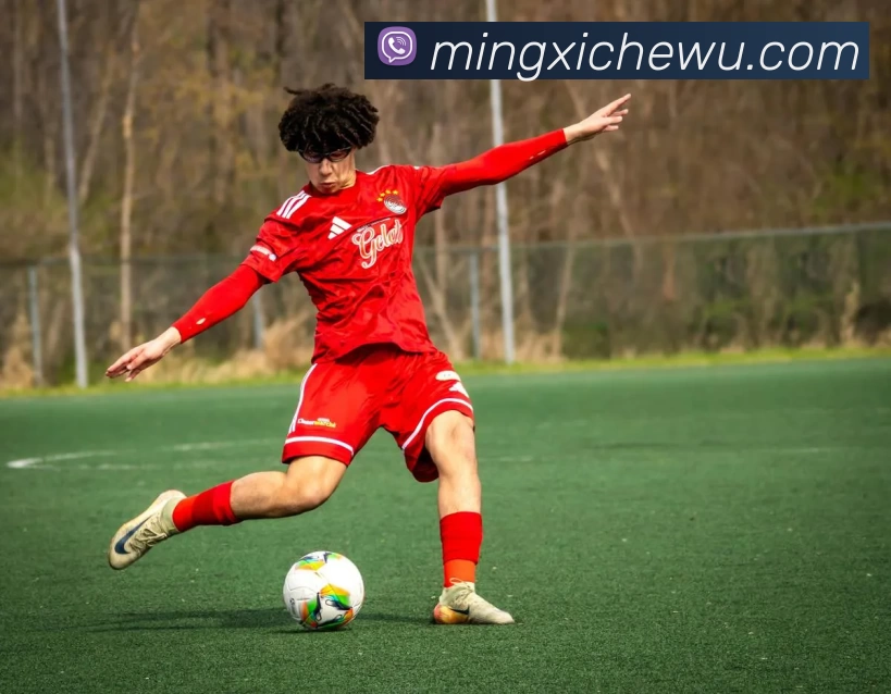 华体会体育全站App